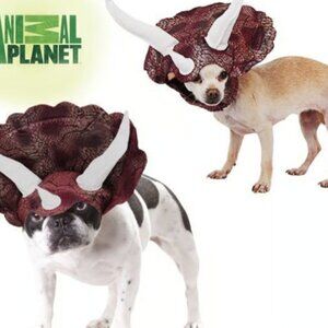 Animal Planet Triceratops Dog Costume Size Medium New Condition (Sh)